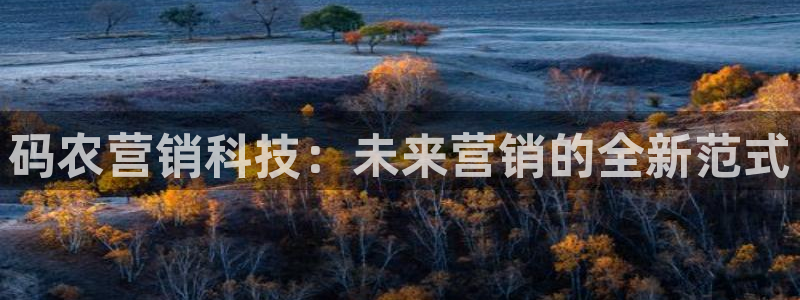 金年会体育查处