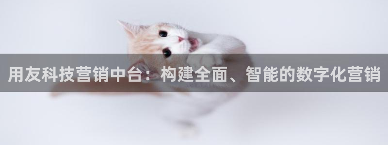 金年会官方平台官网
