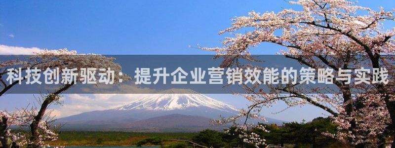 金年会电子游泳app