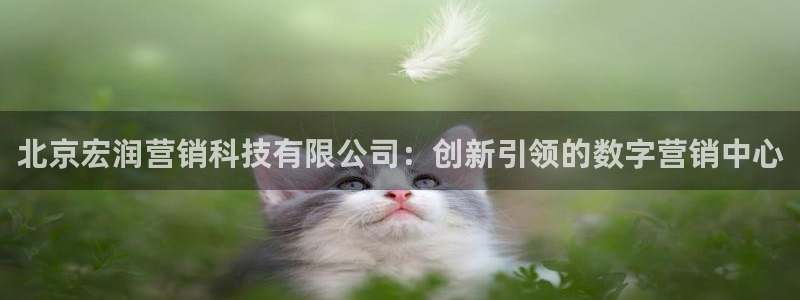 金年会体育怎么样：北