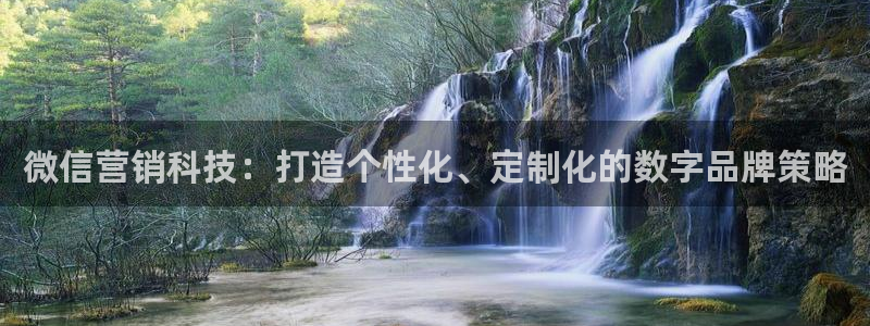 金年会vip888