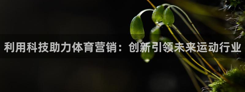 金年会体育下载APP