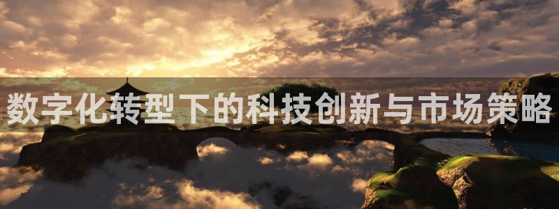 金年会网赌靠普吗