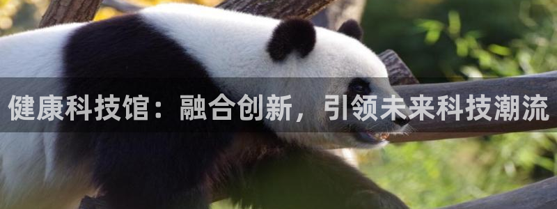 金年会金字招牌信誉至上是黑平台吗