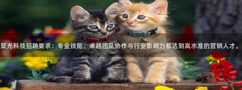 金年会 金字招牌诚信至上网址