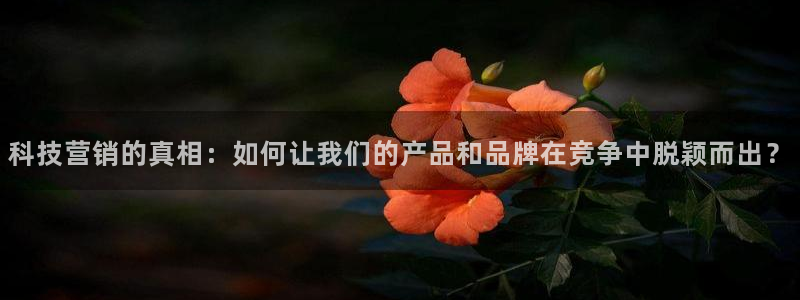 金年会手机网页版官网