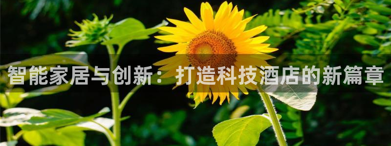 金年会电子游泳app