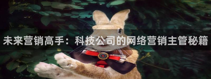 金年会信誉至上金字招牌
