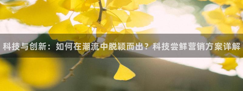 金年会官方进入2023