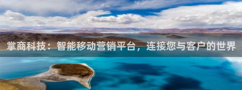 金年会