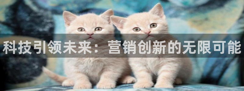 金年会官方娱乐app下载安装