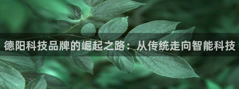 金年会mg官方在线电子游戏