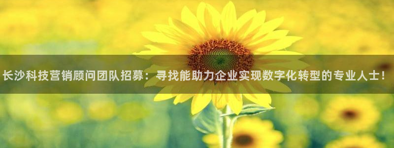 金年会电子游戏app