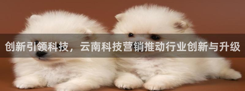 金年会官方在线登录网站