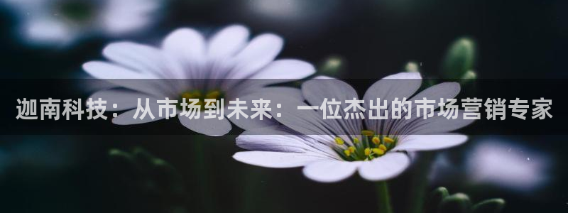 金年会体育网址是多少