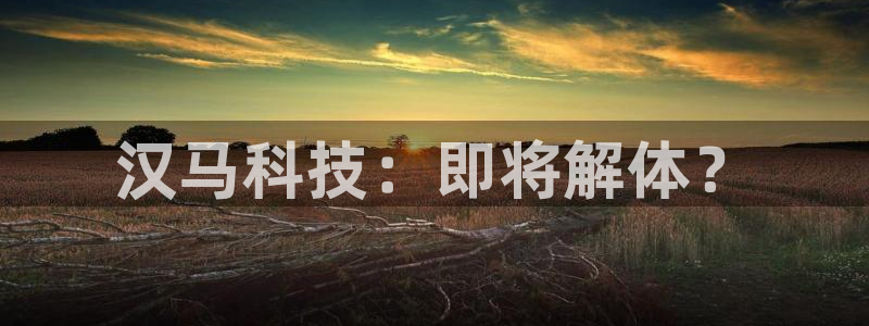 金年会体育官网app