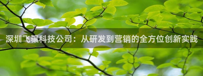 金年会登录网址是什么