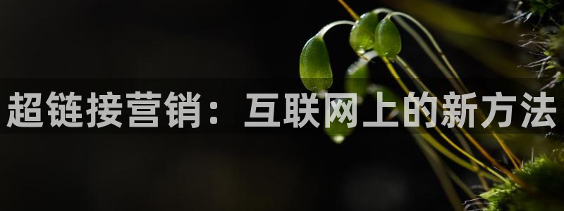 金年会体育