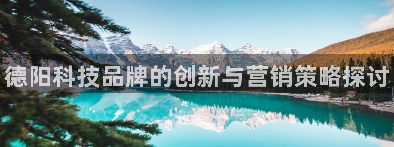 金年会app登录官网下载