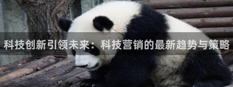金年会官方在线入口网址