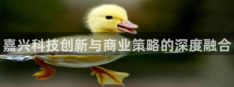金年会体育官网登录入口网址