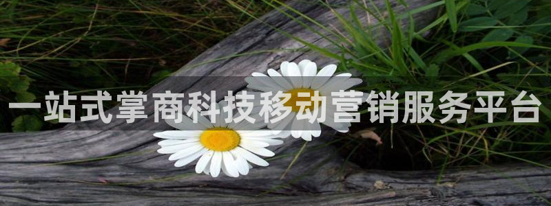 金年会网址导航下载安装