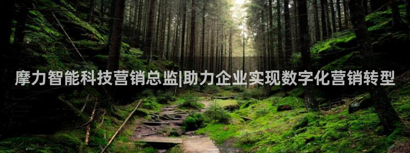 金年会电子游戏app官方网站
