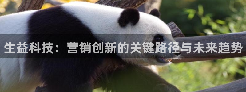 金年会体育app平台怎么样可靠吗