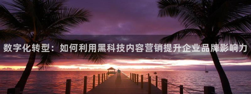 金年会网站提现一直显示审核当中怎么办