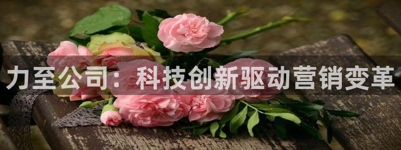 金年会官方网站登录