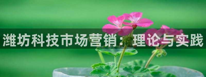 金年会·会官方入口登录