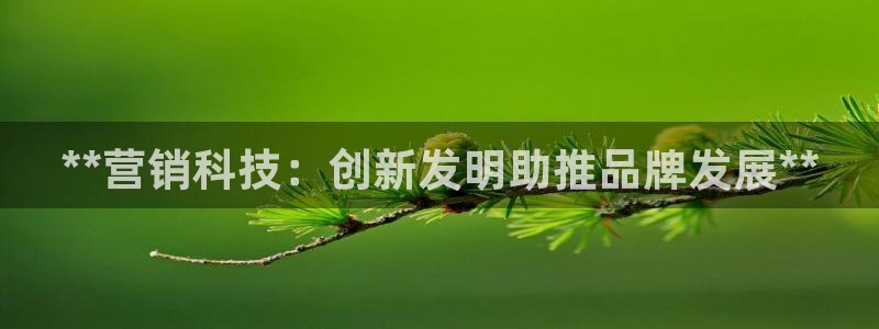 金年会vip网页版在线登录入口下载