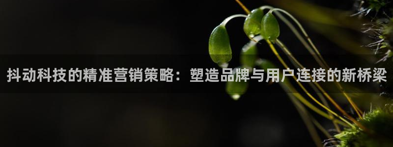 金年会官方网站入口登录网址是多少