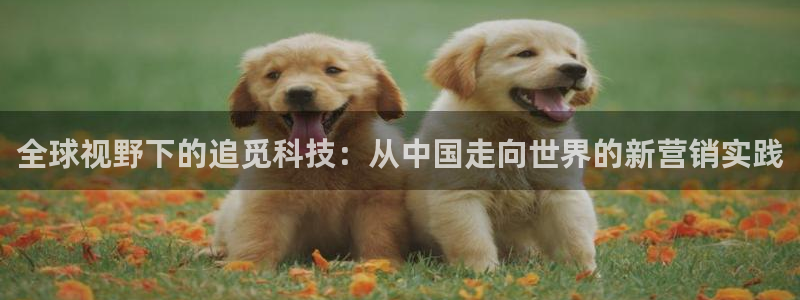 金年会体育电子登录入口