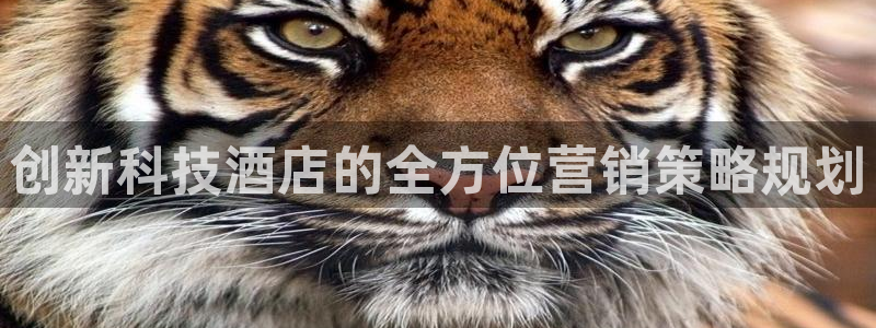 金年会体育注册地