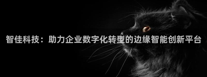 金年会app下载官网登录