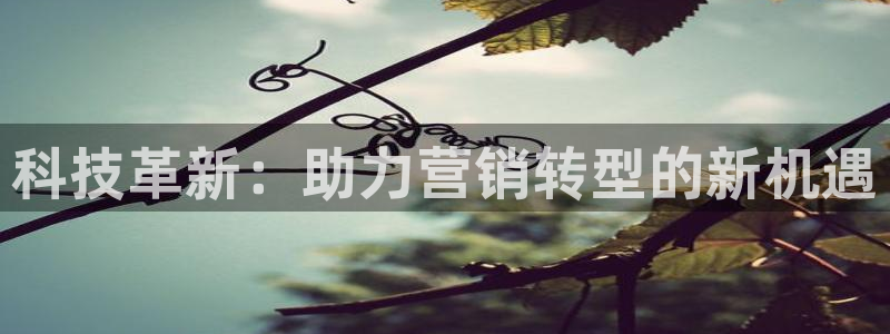 金年会官方入口登录网站