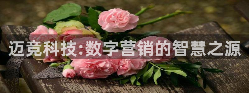 金年会VIP网页版在线登录入口