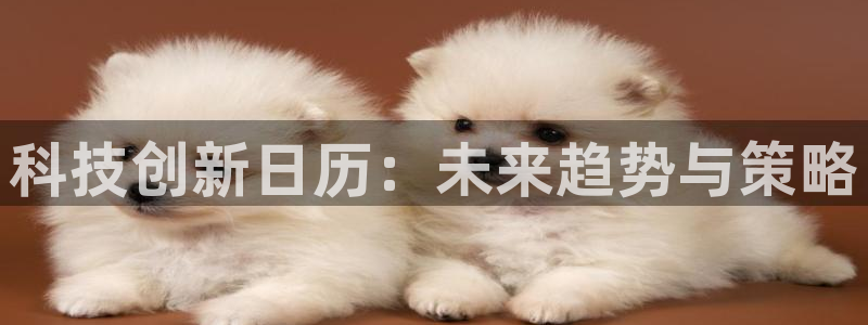 金年会app官方网站入口在哪