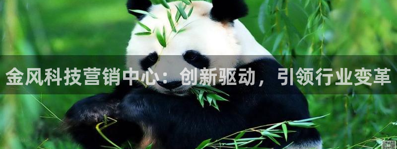 金年会 金字招牌诚信至上 | 首页(欢迎您)