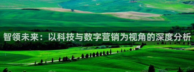 金年会平台官网下载