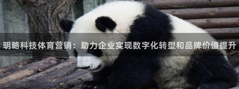 金年会体育app入口在哪