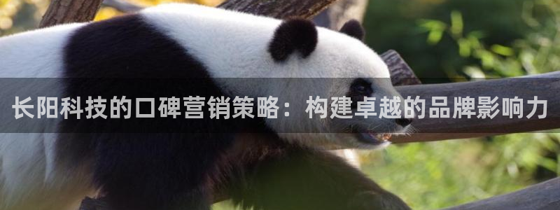 金年会电子平台