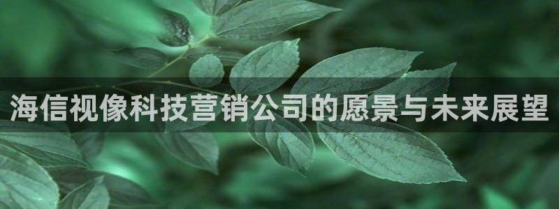 金年会网站登录