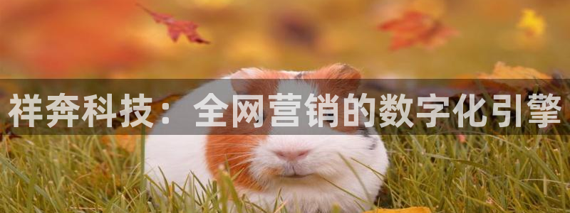 金年会体育网址是多少