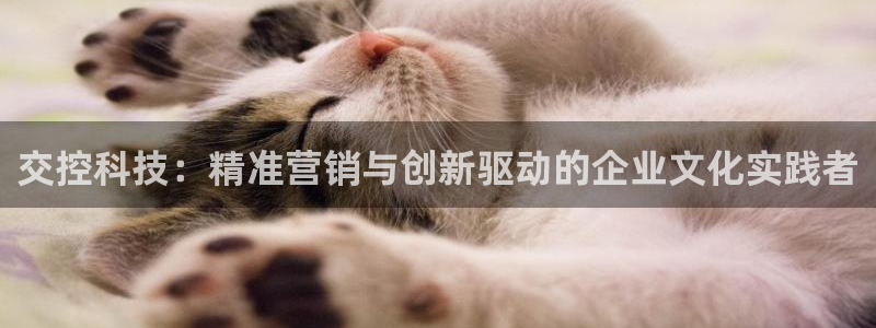 金年会体育官网入口