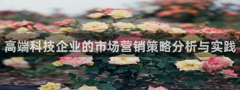 金年会官方登录入口网址是什么