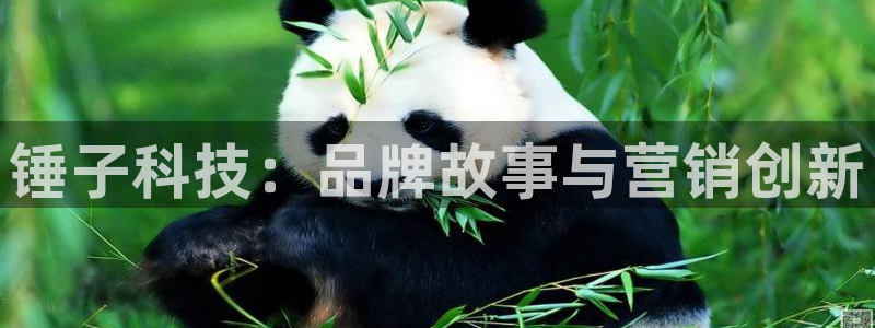 金年会手机网页版下载