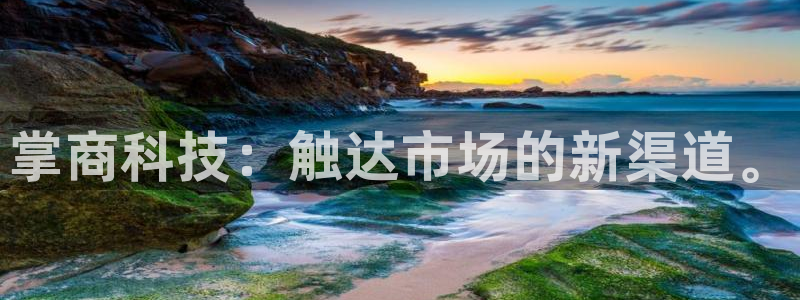 金年会体育官方