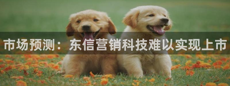 金年会官方在线入口网站下载